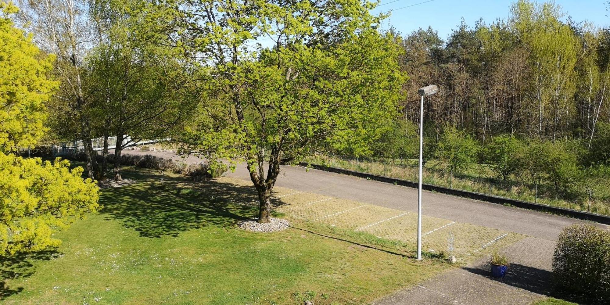 Niederwald Lägenhet Iffezheim Exteriör bild